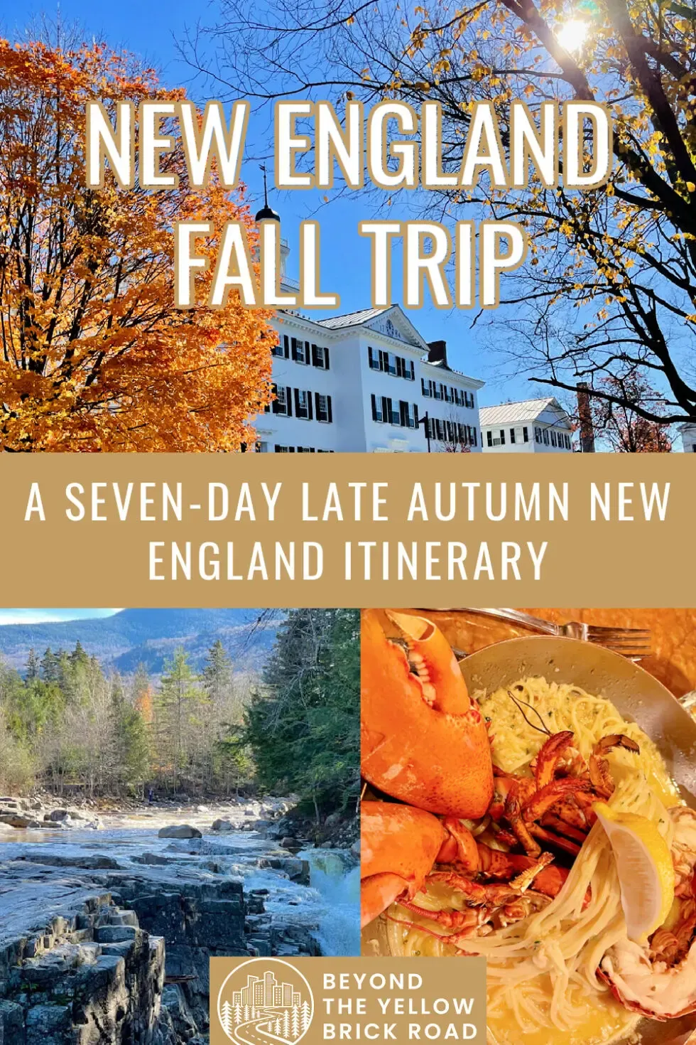 Beyond the Leaves: Food, Fun, and Practical Tips for Your Journey