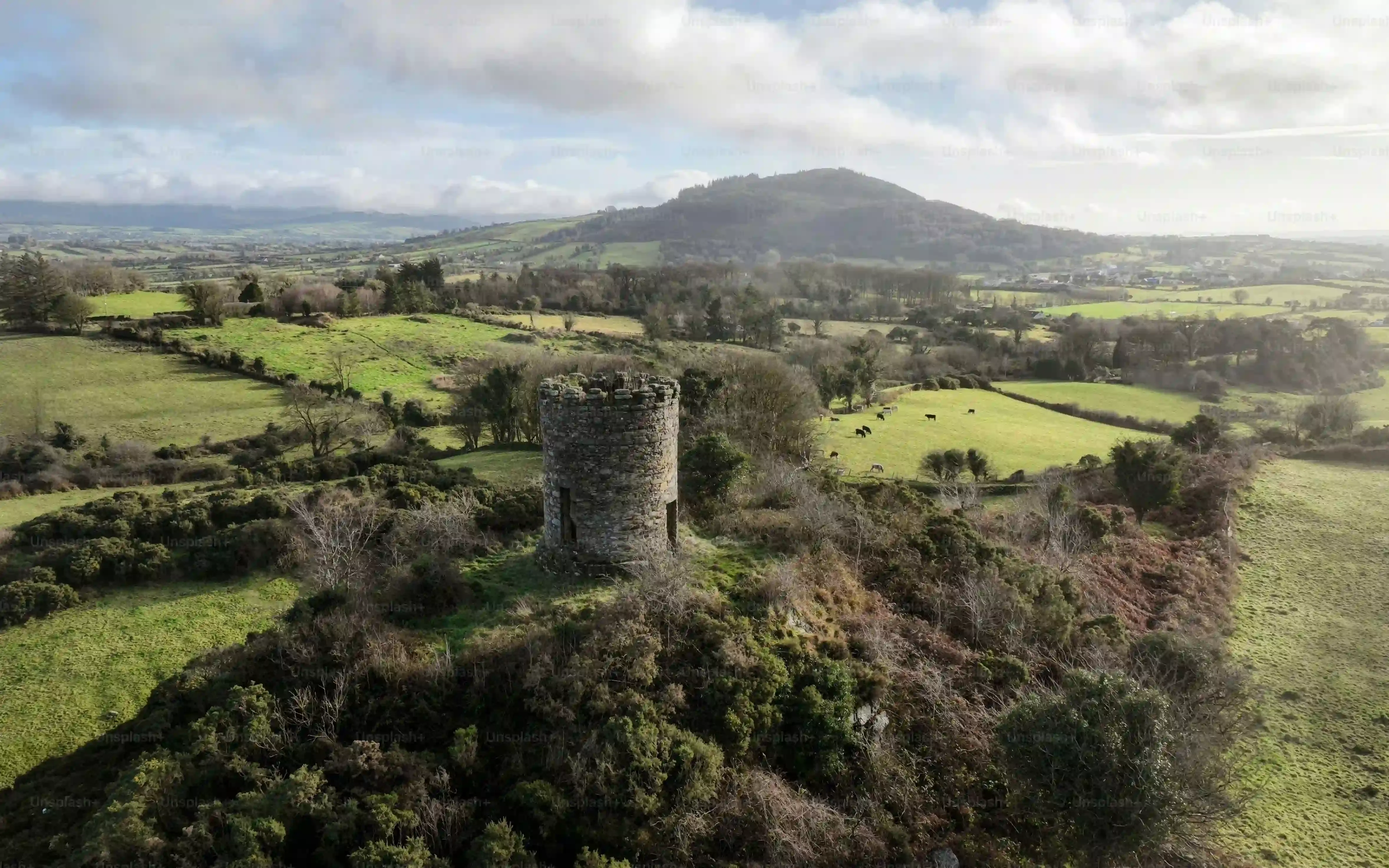 Beyond the Stone: What You'll See on Your Day Trip from Dublin to Blarney Castle (and Other Stops)