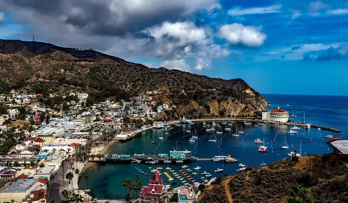 The Best catalina island day trip from los angeles