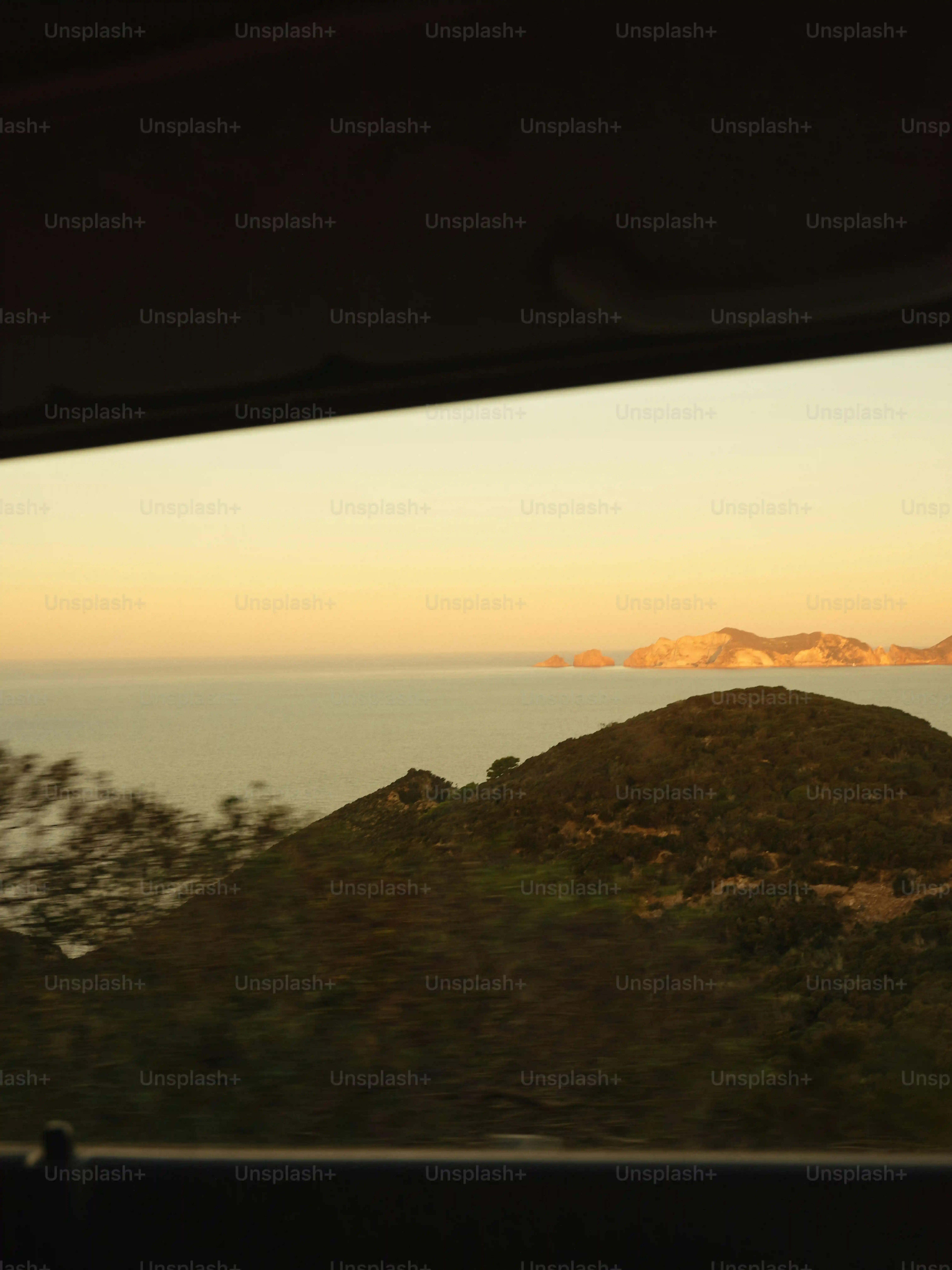 Your Best Day Trip to Catalina from Los Angeles Guide