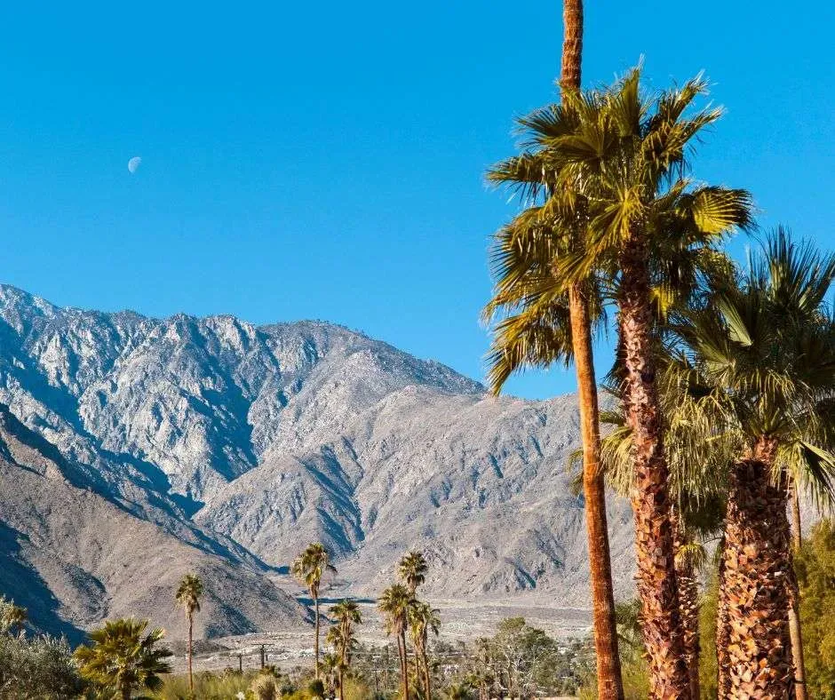 Ultimate day trip to palm springs from los angeles