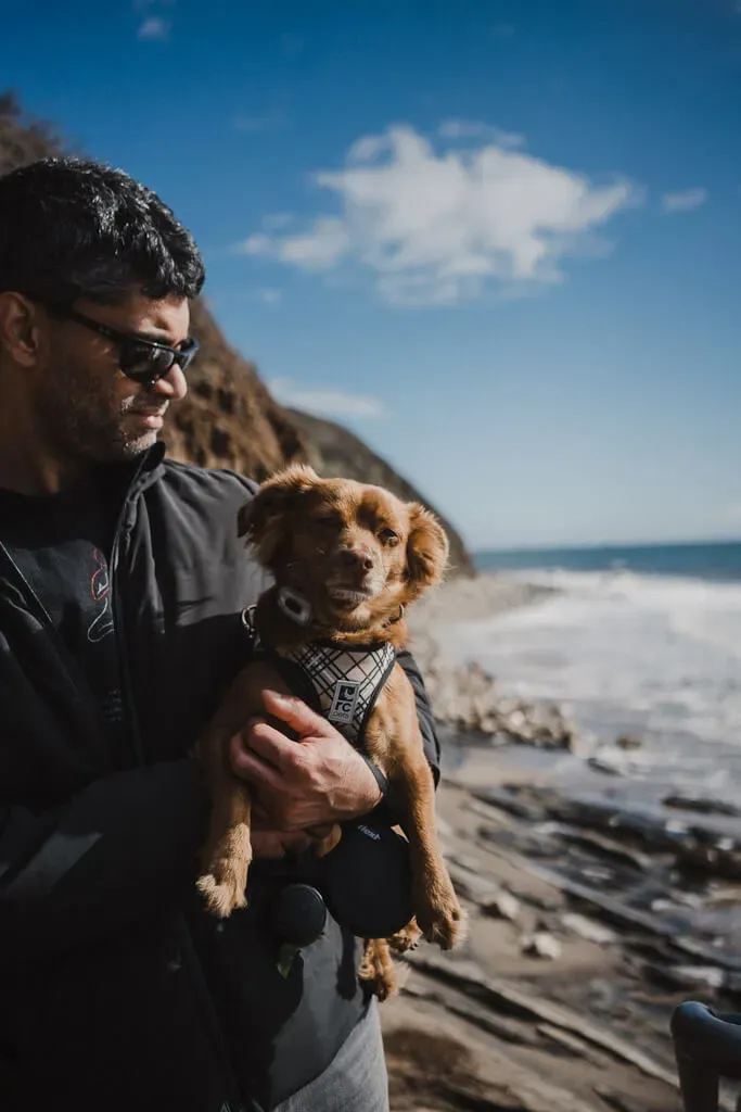 Discover the best day trips from los angeles with dogs