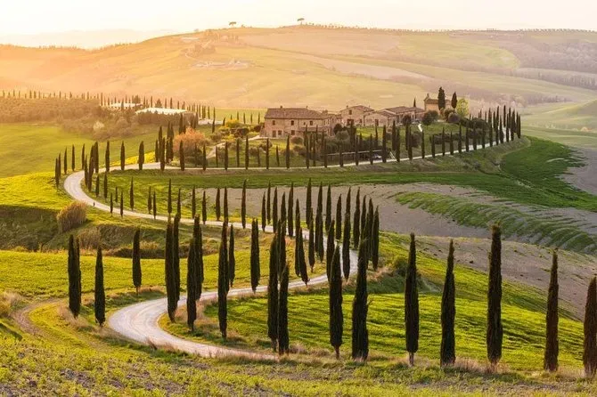 Ditch the Bus: Why Choose Private Day Trips From Florence?