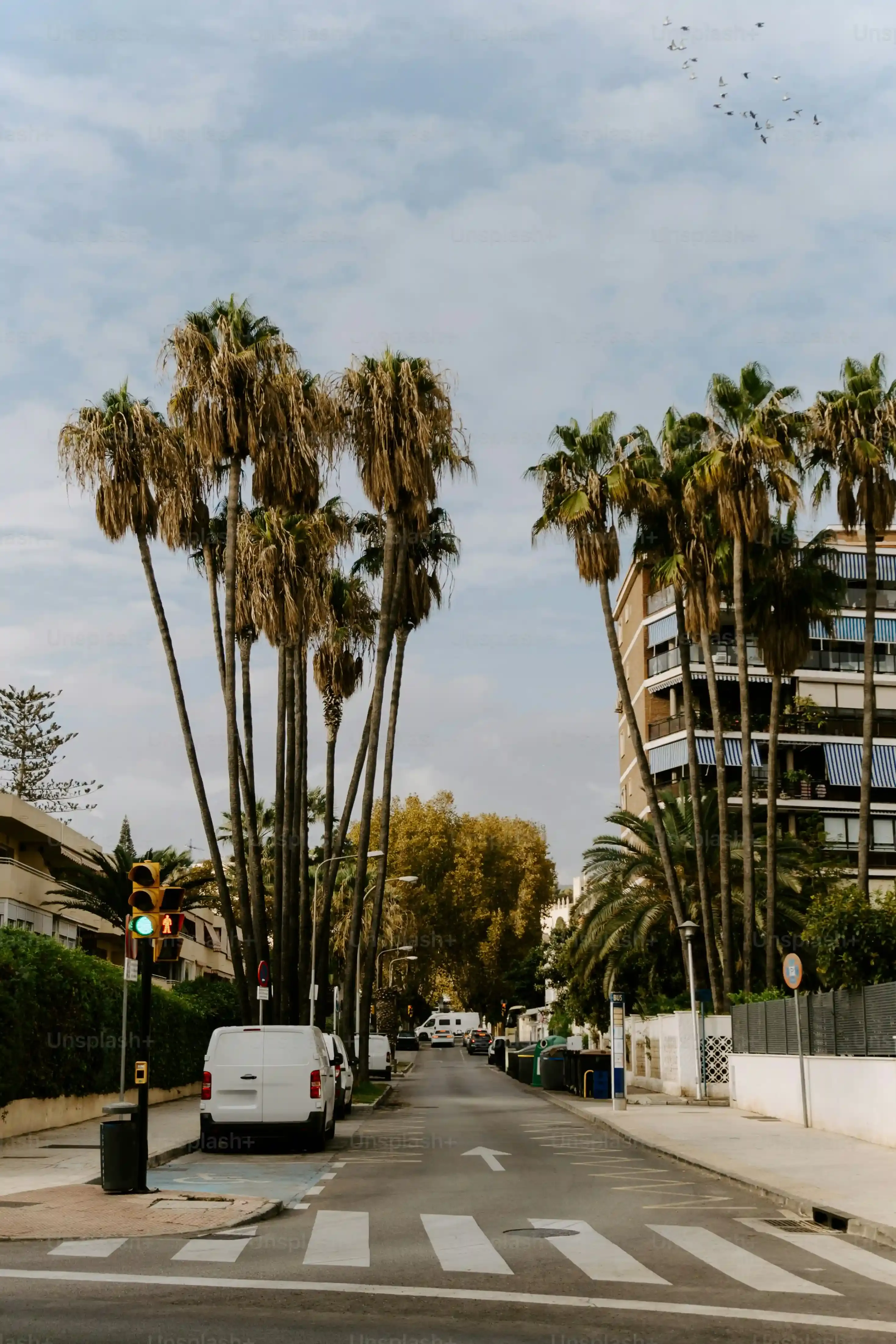 Essential Tips for Your Day Trip from Los Angeles to Joshua Tree