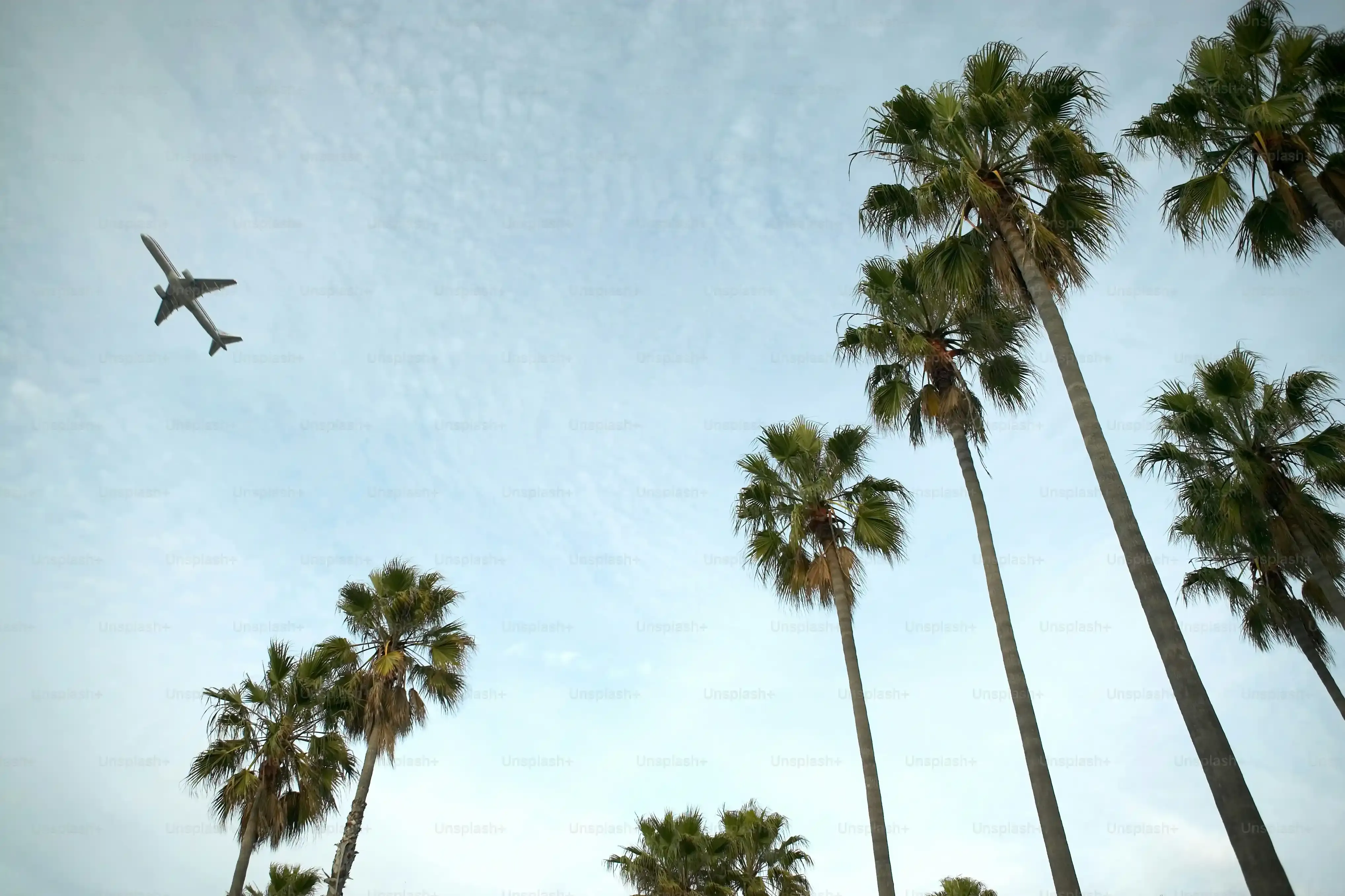 Exploring Downtown: Santa Barbara's Midday Charms