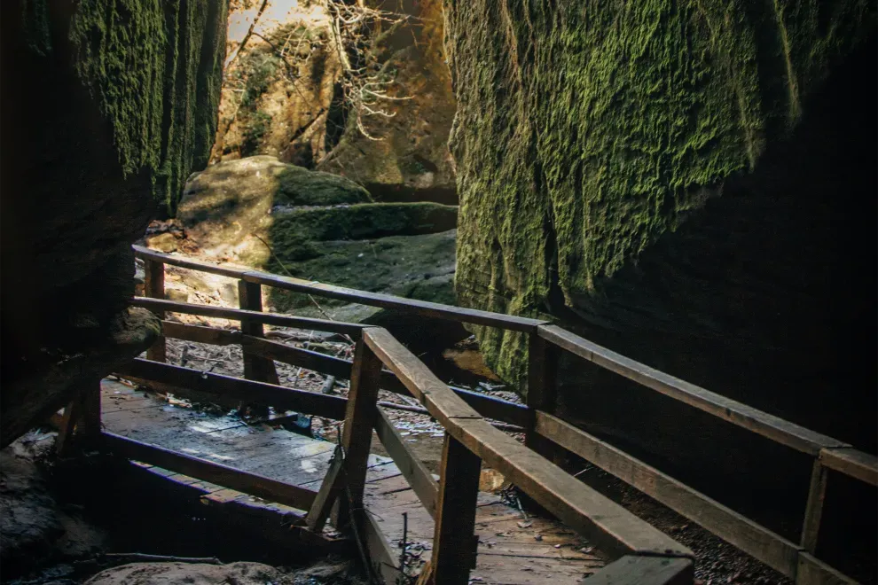 Finding Adventure: Why Take Day Trips from Florence, Alabama?