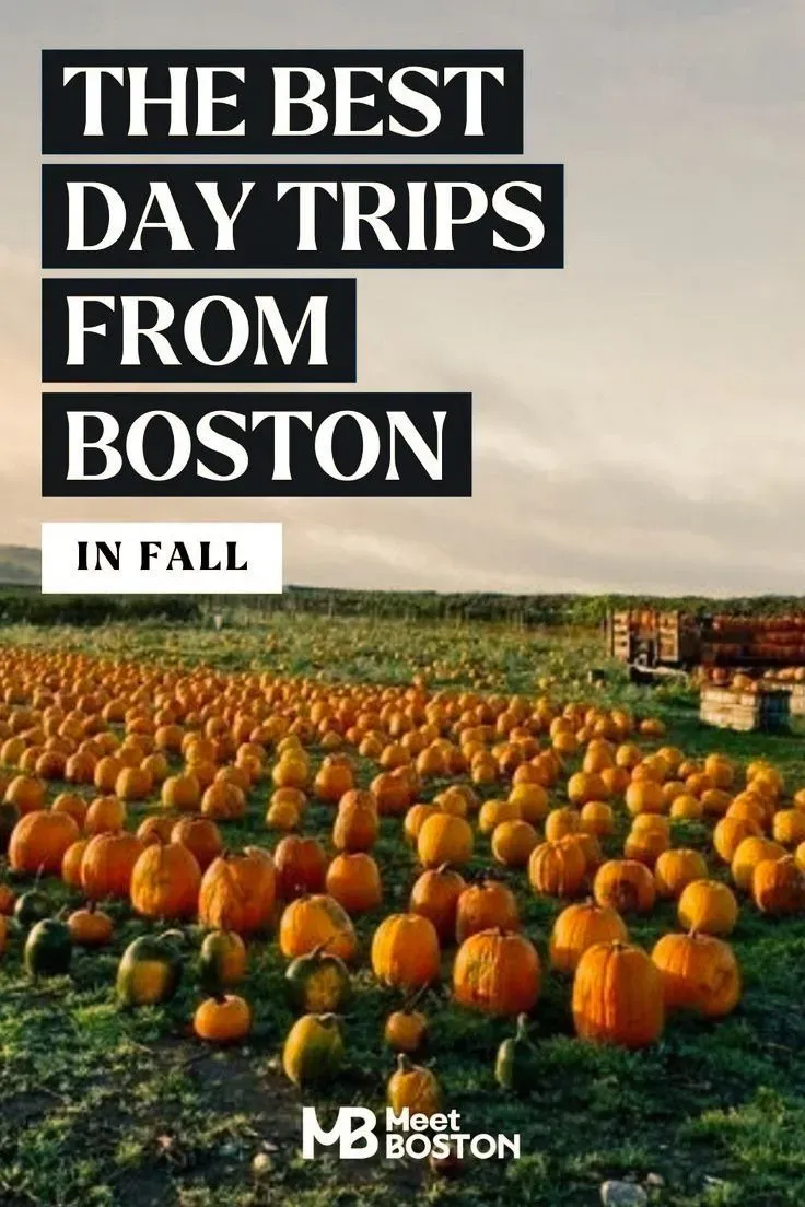 Finding the Best Fall Day Trips From Boston