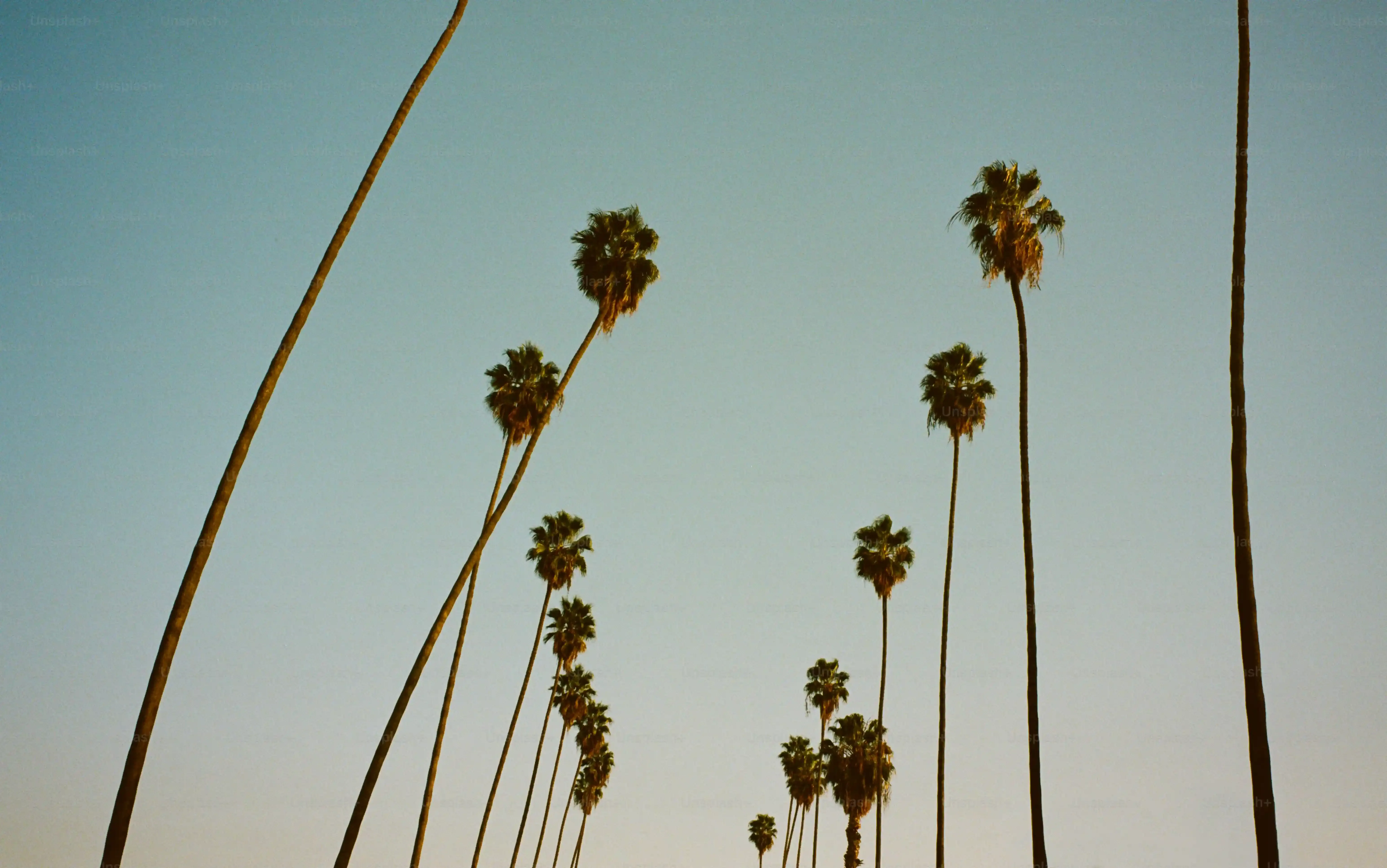 High Desert & Mountain Views: Unexpected Adventures for a 1 Day Trip from Los Angeles