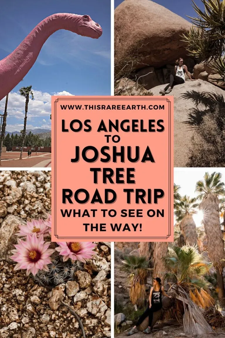 Is a Day Trip from Los Angeles to Joshua Tree Even Possible?