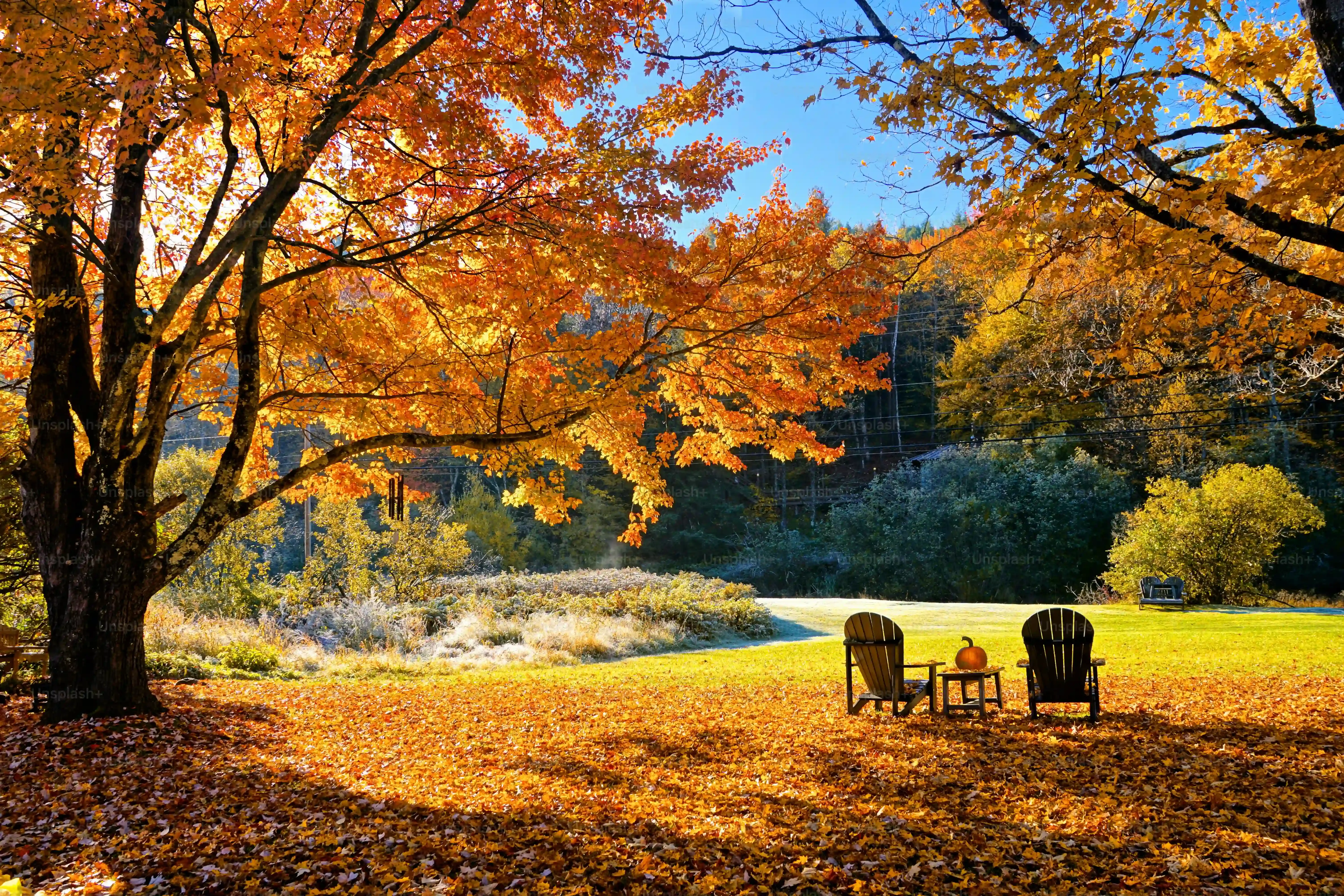 Leaf Peeping and Outdoor Adventures: Best Fall Day Trips Near Boston