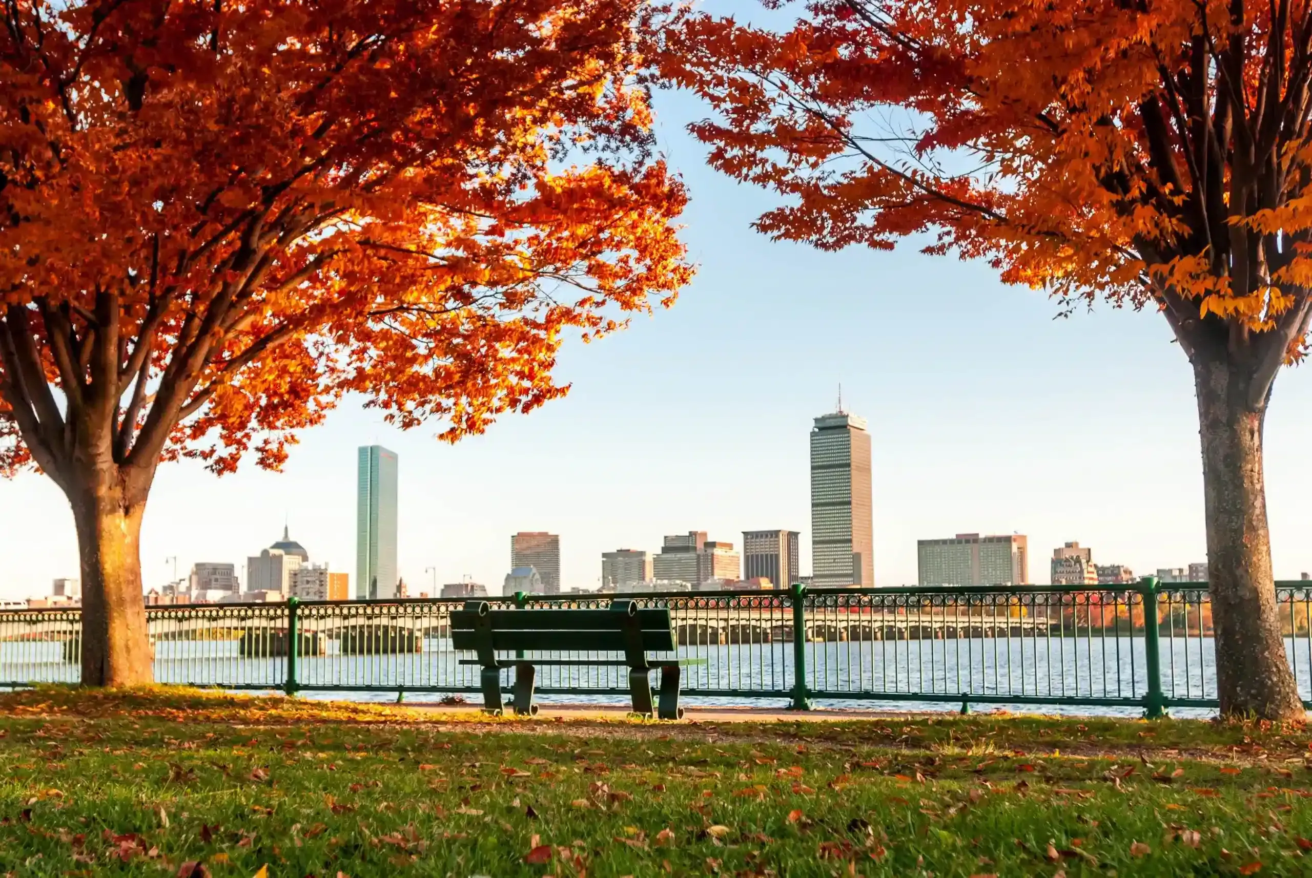 Discover top leaf peeping day trips from boston