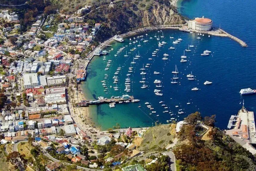 Making the Most of Your Day Trip: Essential Activities & Eats