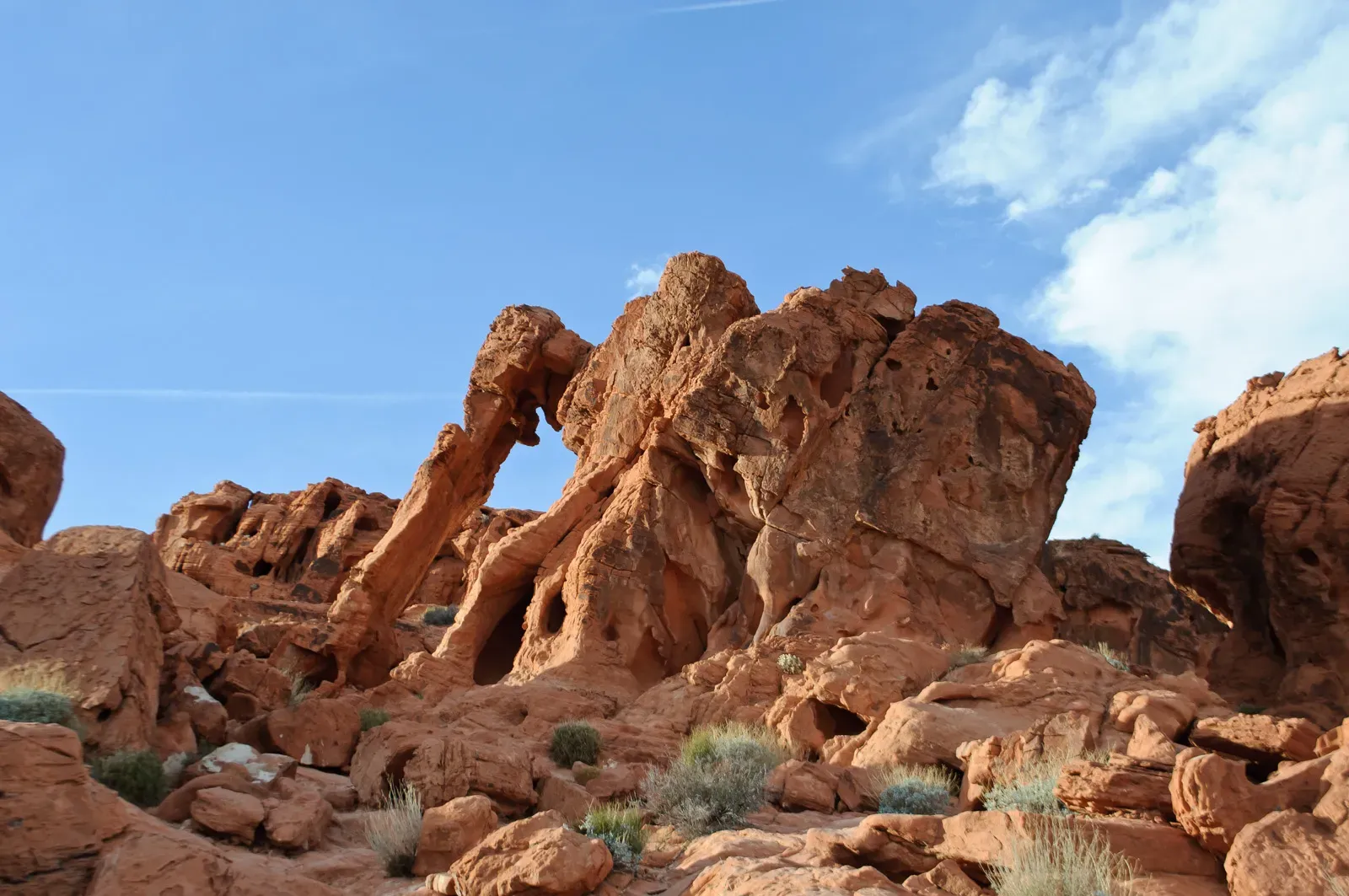 Making the Most of Your Day Trip to Los Angeles from Vegas