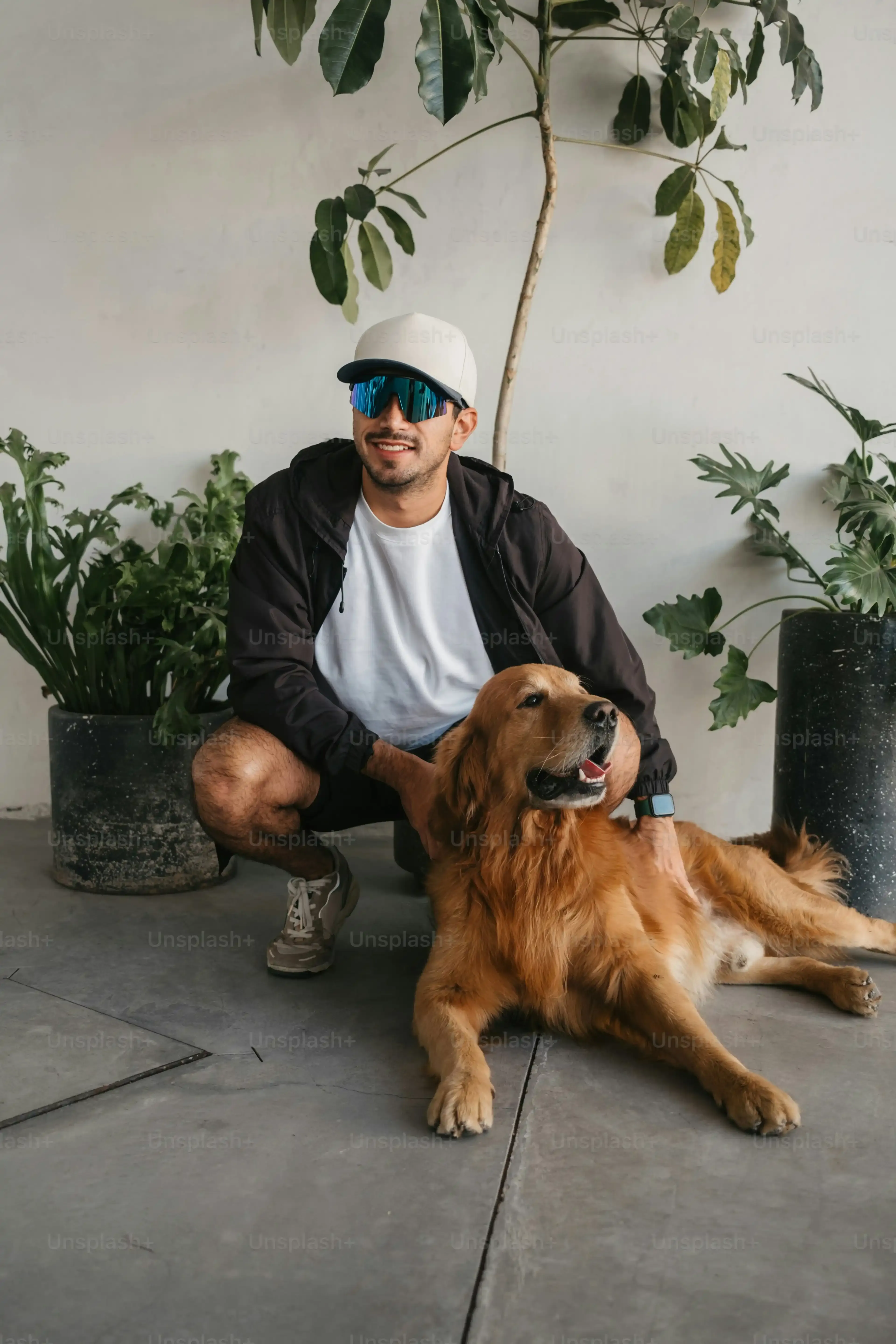Making the Most of Your Day Trip with Dogs from Los Angeles
