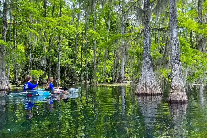 Making the Most of Your Day Trips From Destin