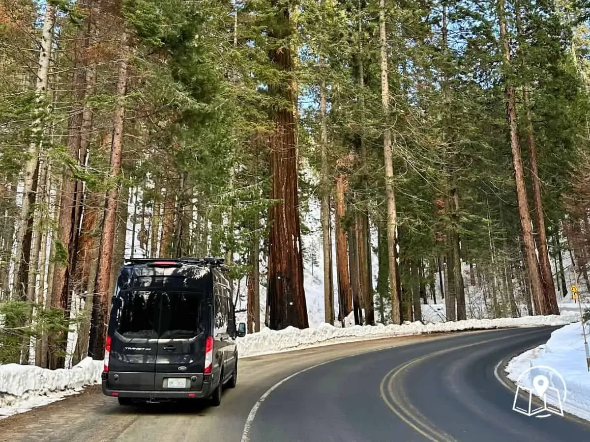 Making the Most of Your Limited Time Among the Trees