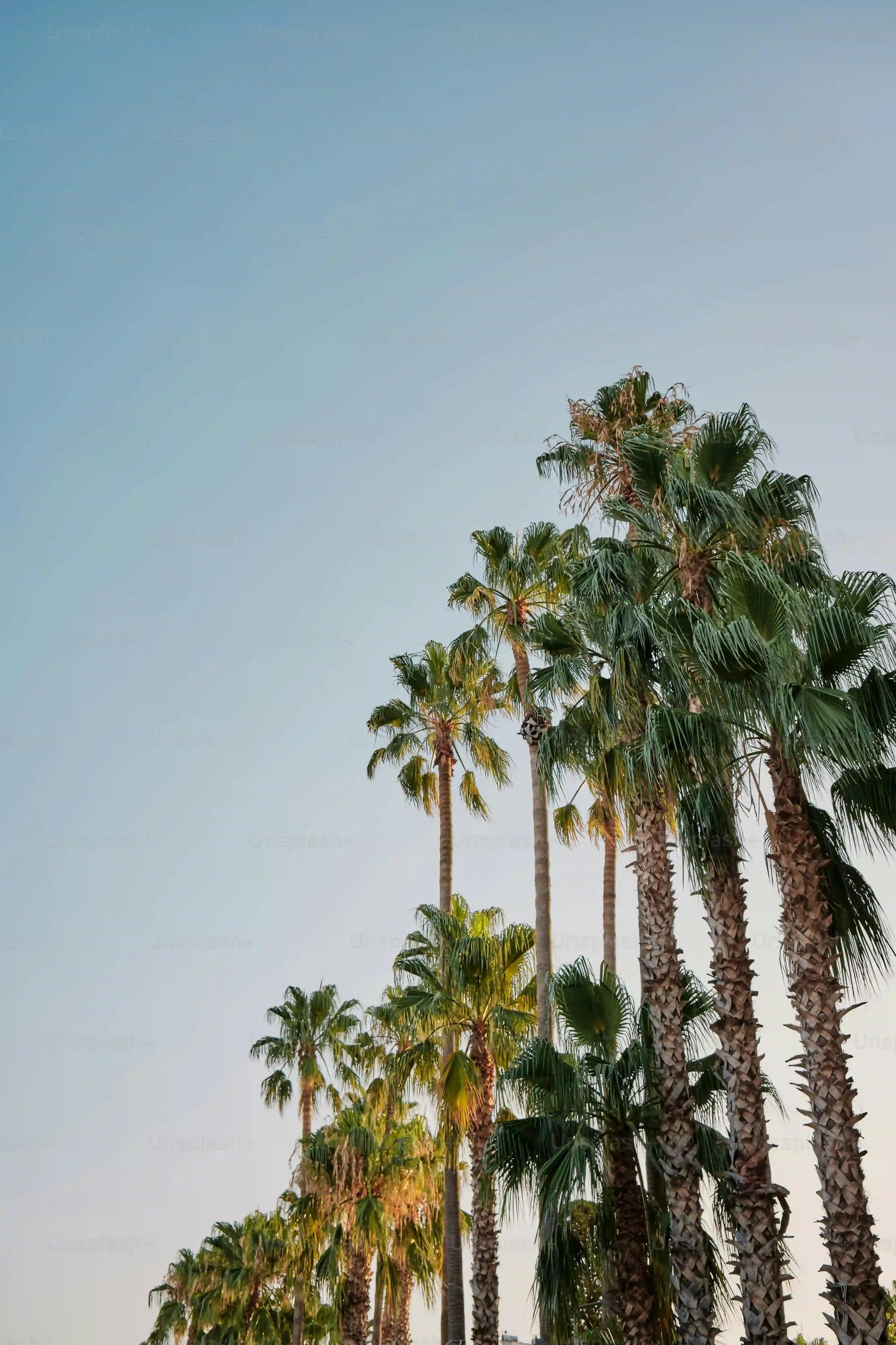 More Than Just LA: Exploring Other Day Trips From Palm Springs