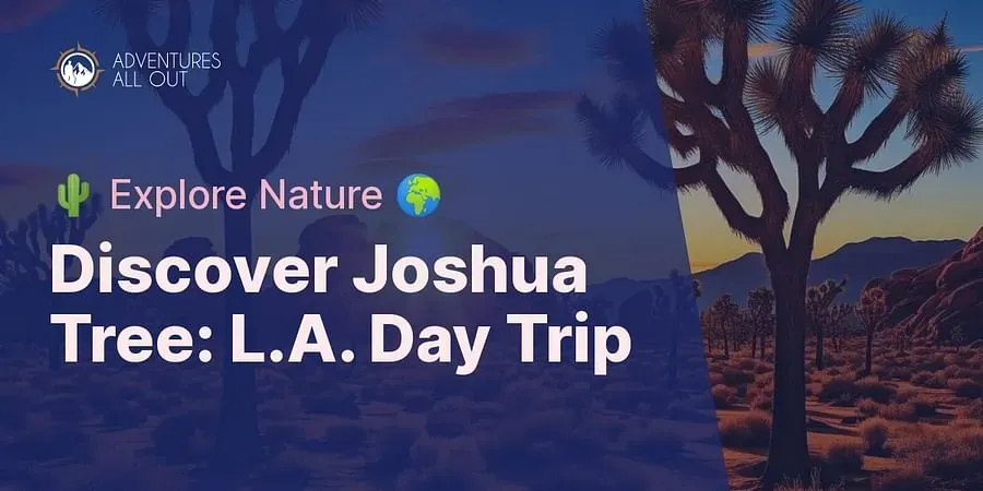 MustSee Spots in Joshua Tree on a Day Trip