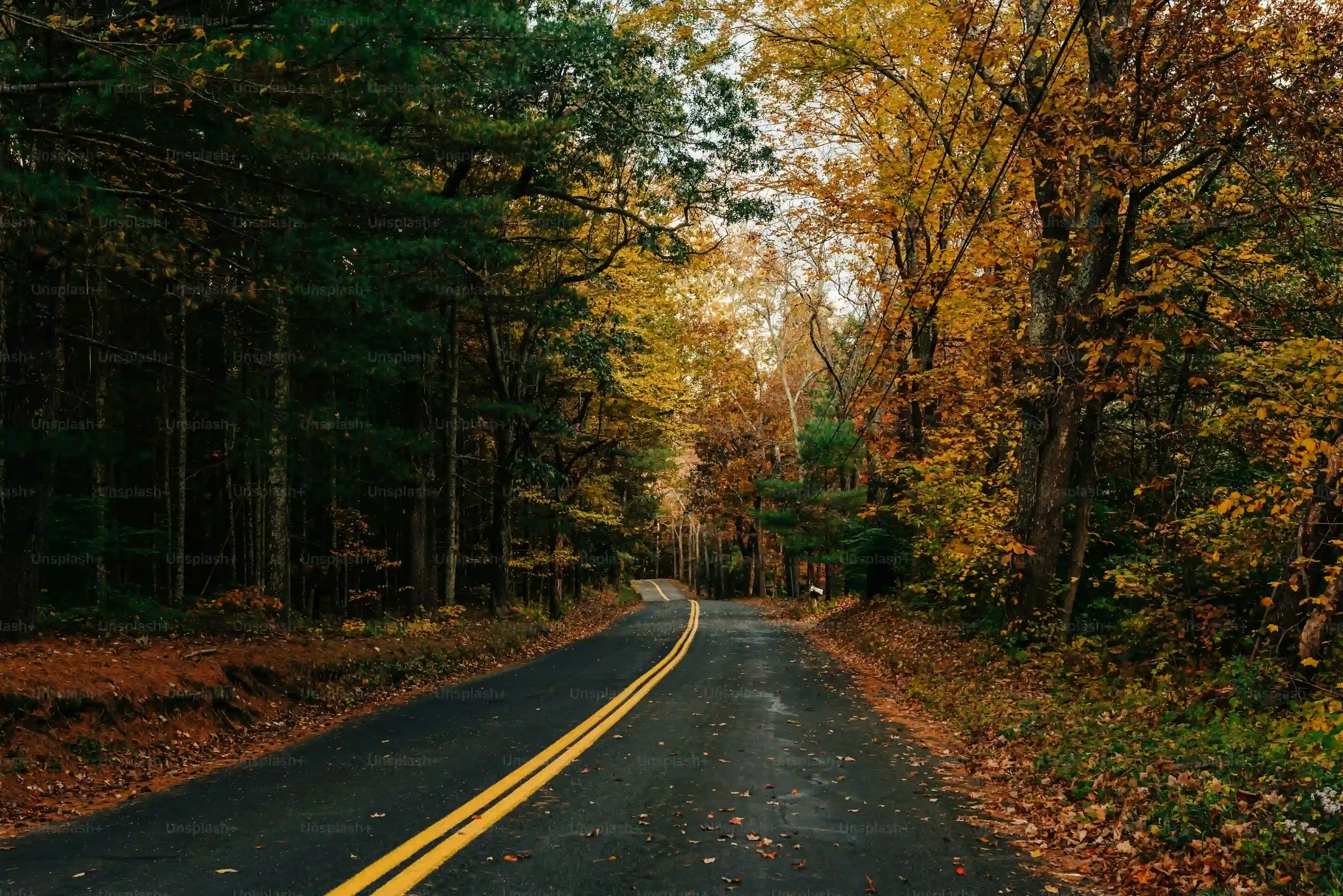 MustSee Stops and Foliage Hotspots on Your Fall Trip