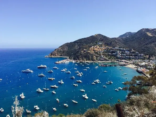 Planning Your Day Trip to Catalina From Los Angeles