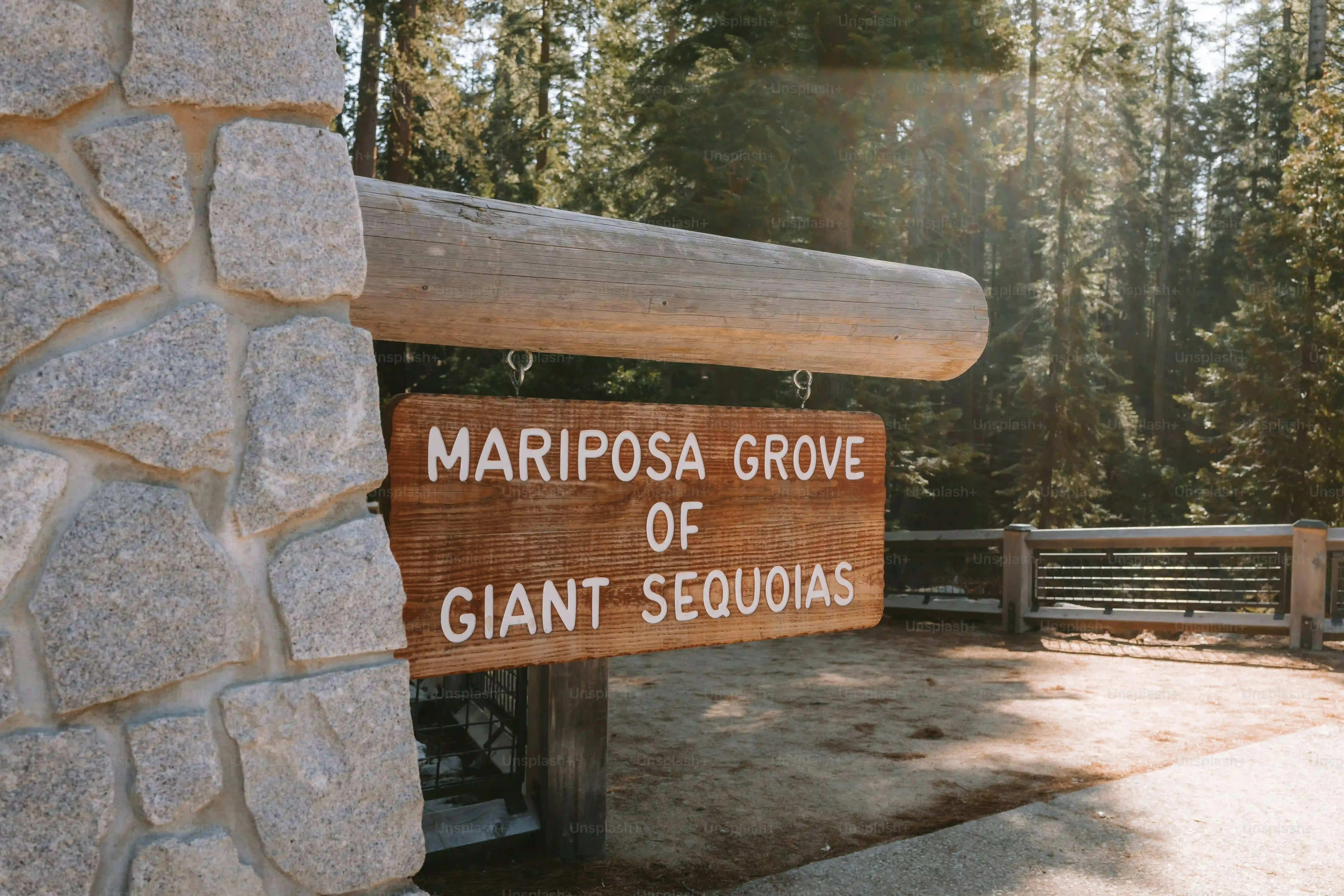 Planning Your Day Trip to Sequoia National Park from LA