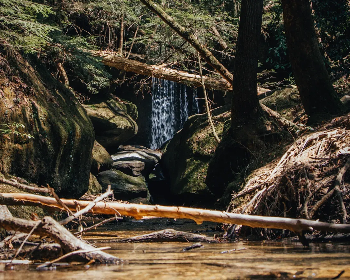 Planning Your Perfect Day Trips from Florence, Alabama
