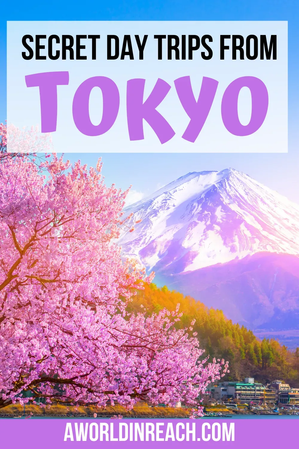 Popular Day Trips from Japan: Escaping the City Buzz