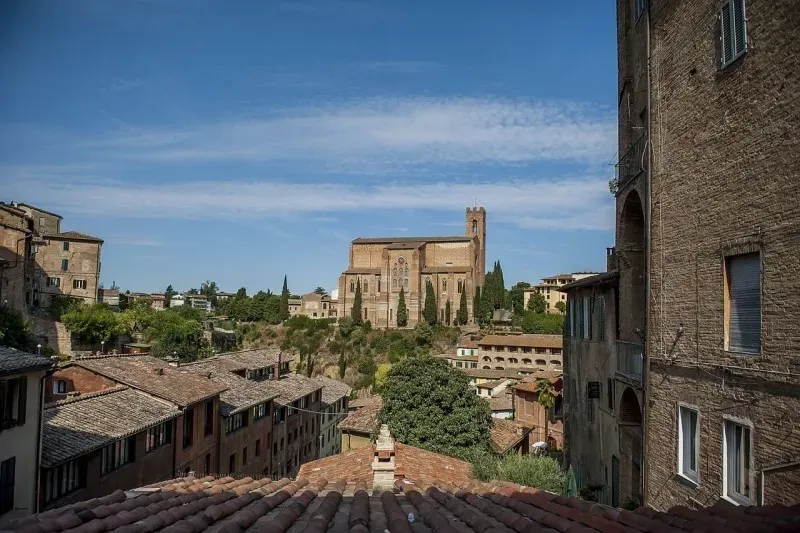 Quick the best of tuscany in one day trip from florence