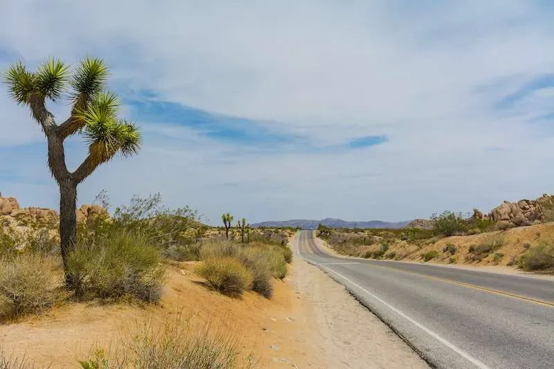 Tips for Surviving the Drive Back to LA
