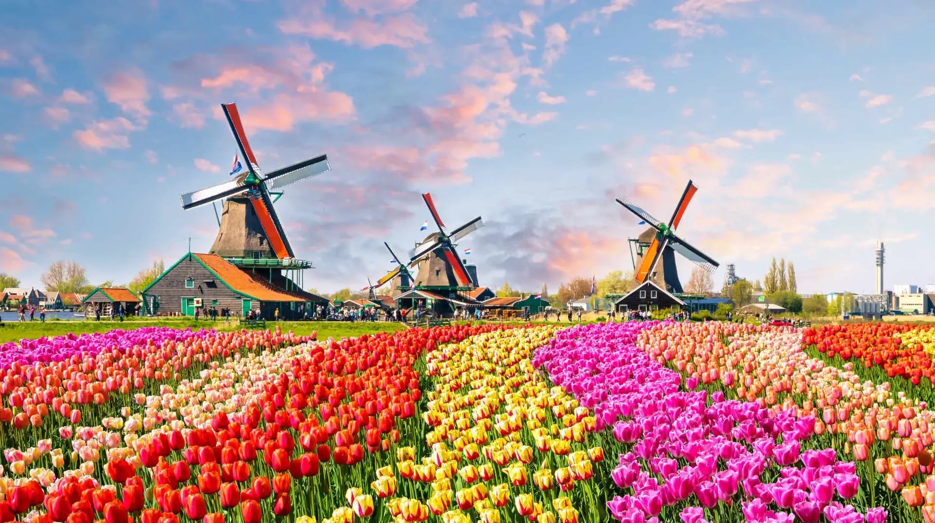 Top Destinations for Day Trips from Amsterdam