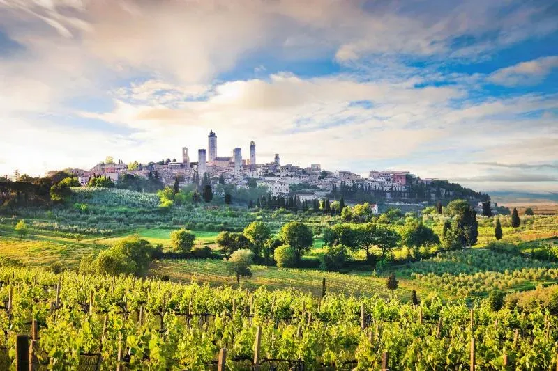What to Expect on Your Exclusive Siena & San Gimignano Day Trip from Florence