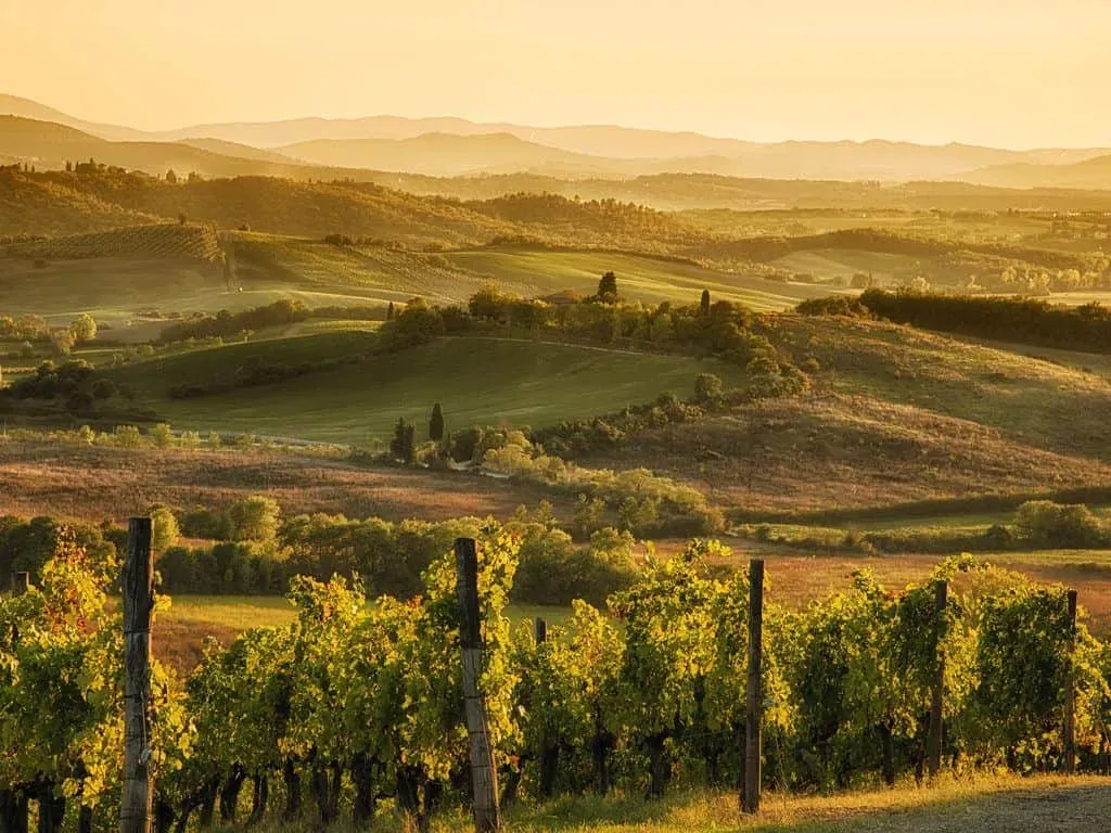 Why a Day Trip to Chianti from Florence is Worth It