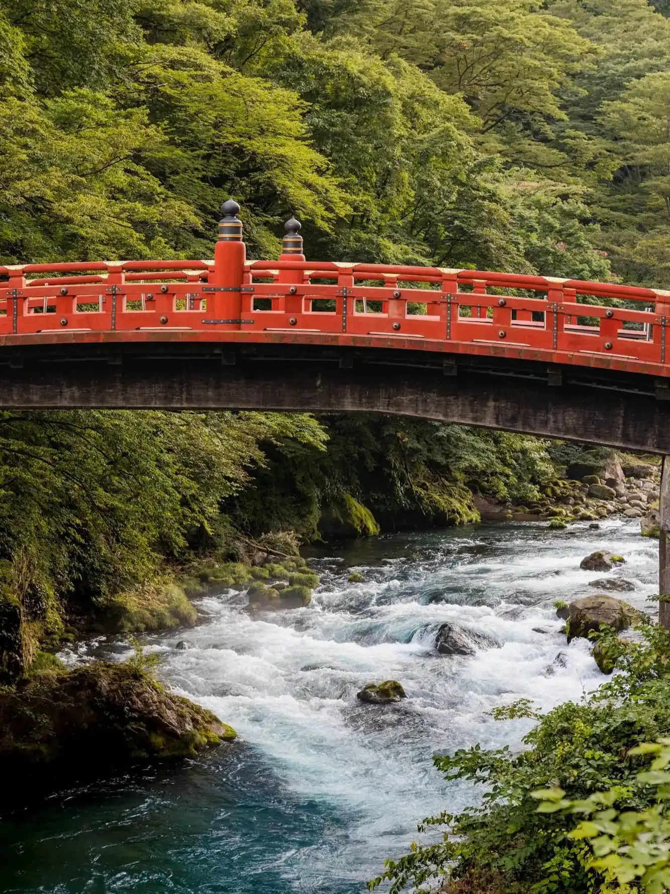 Why Day Trips from Japan Are a Must