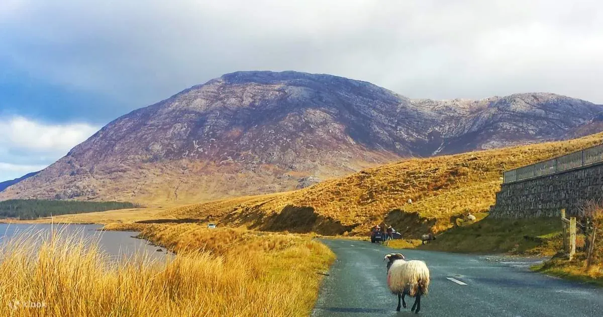 Why Plan a Connemara Day Trip from Dublin?